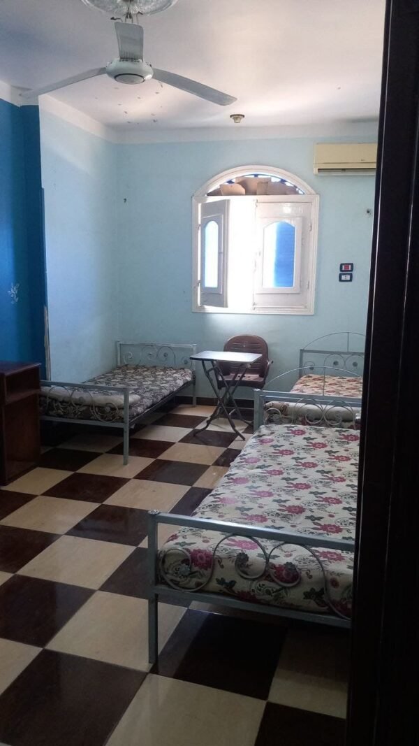 قسم »بنات عادي» شقة رقم:236
